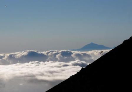 Transvulcania Lauf Teide.jpg